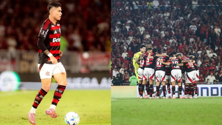 Luiz Araújo como Titular Eleva Aproveitamento do Flamengo no Brasileirão