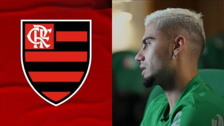 Decisão no Maracanã: Flamengo supera Palmeiras e conquista a temporada
