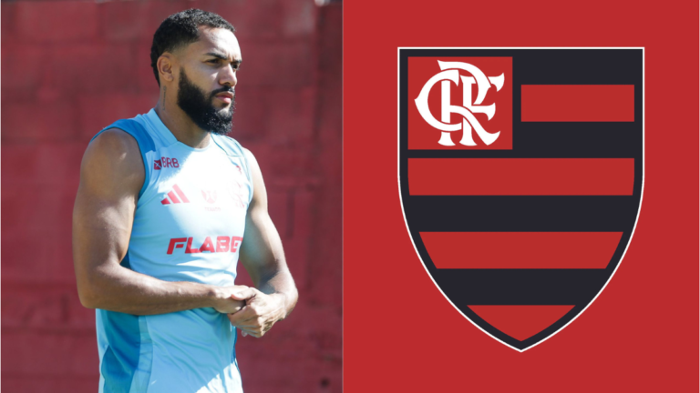 Juninho se despede do Flamengo: Sonho realizado e números revelados!