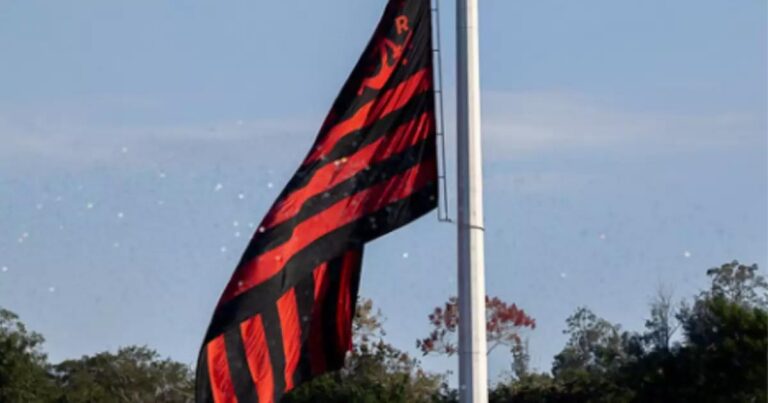 Arara interrompe lance do Flamengo e viraliza em jogo da Copa do Brasil