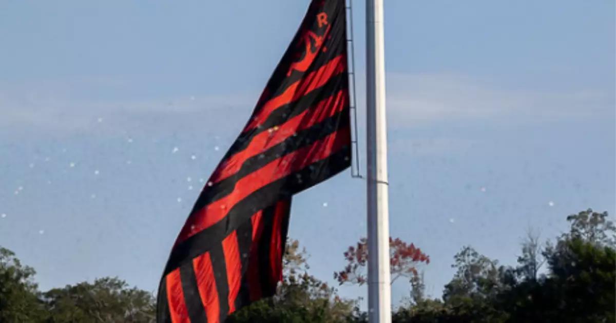 Arara interrompe lance do Flamengo e viraliza em jogo da Copa do Brasil