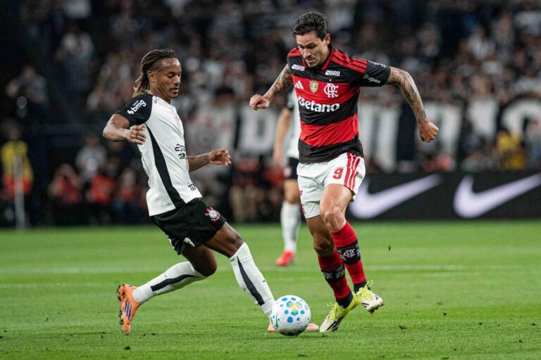 Palmeiras e Flamengo entram em campo hoje em jogos que impactam a disputa pela liderança no Brasileirão